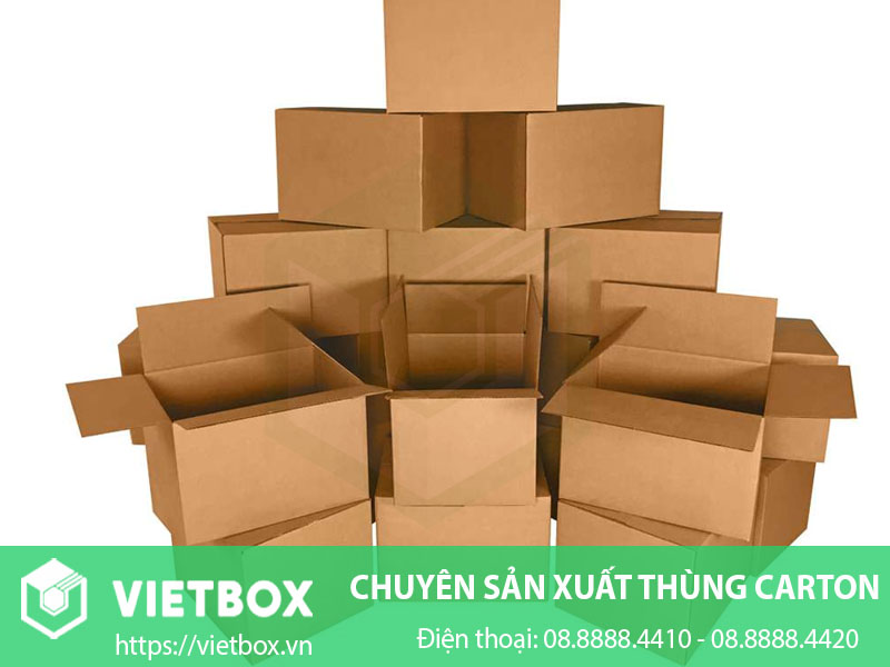 Hộp carton nhiều kích thước