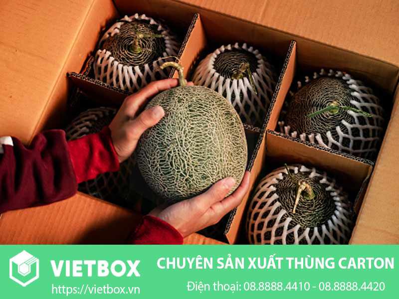 Thùng Carton Đựng Dưa Lưới GIÁ RẺ NHẤT ở TP.HCM - Vietbox