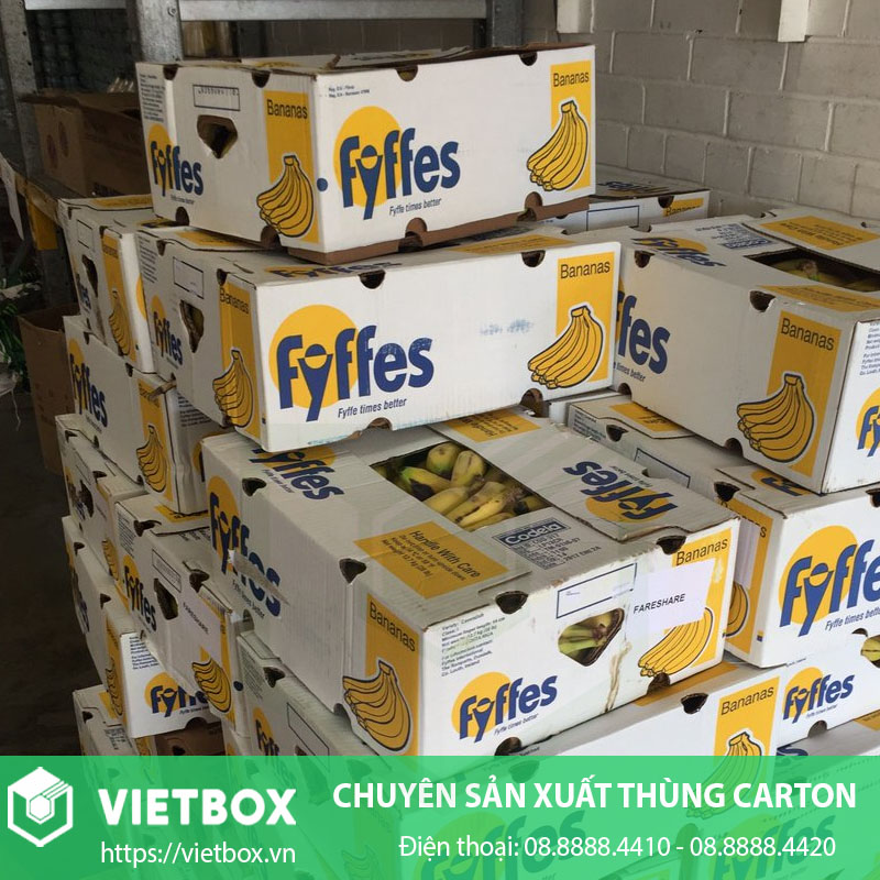 Mẫu thùng giấy đựng chuối