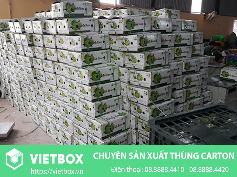 Thùng giấy đựng chanh dây