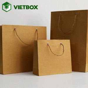 Địa chỉ in túi giấy Kraft theo yêu cầu đẹp, bền, giá tốt