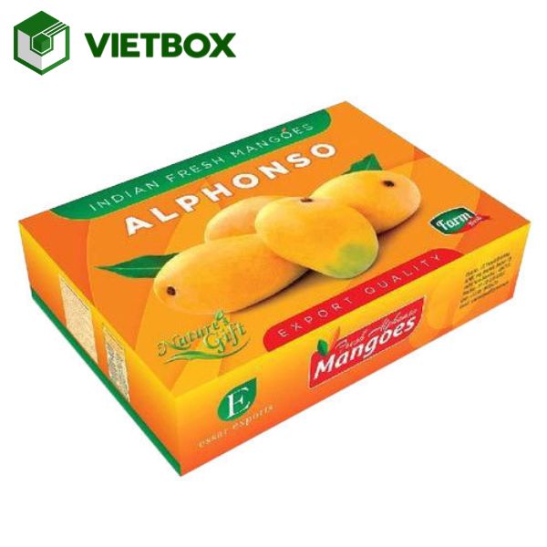 gia-cong-thung-carton-dung-xoai-chong-va-dap-bao-ve-trai-cay (2)
