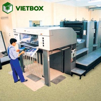 Dịch vụ in offset TPHCM với đa dạng chất liệu giấy, kích thước, kiểu dáng và kỹ thuật gia công theo yêu cầu