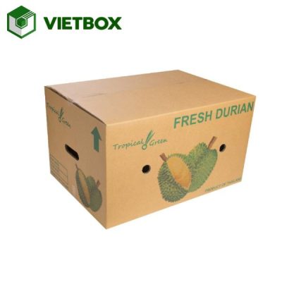Vai trò của thùng carton sầu riêng trong đóng gói và vận chuyển xuất khẩu