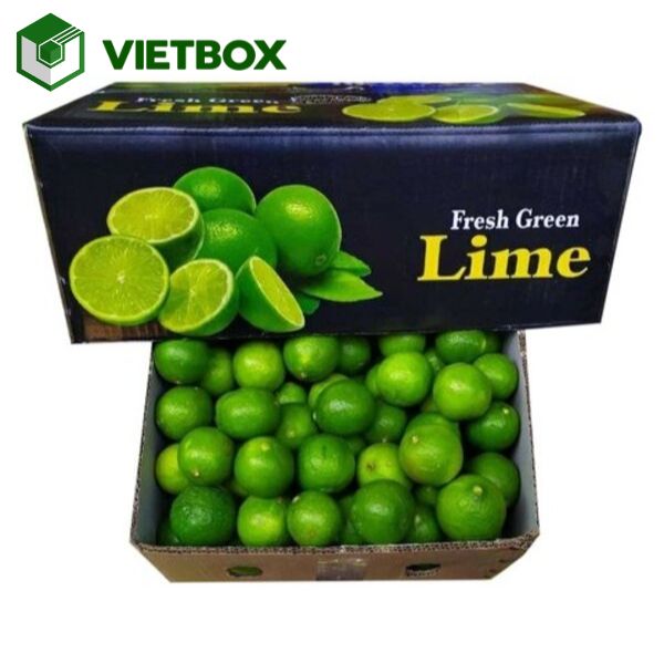 kich-thuoc-thung-chanh-pho-bien-va-cach-chon-phu-hop (1) Quy trình sản xuất thùng chanh theo kích thước yêu cầu từ thiết kế đến gia công