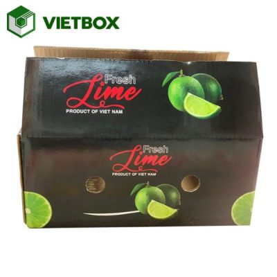 Kích thước thùng chanh phổ biến phù hợp với nhiều nhu cầu đóng gói và vận chuyển