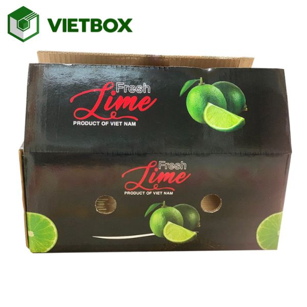 kich-thuoc-thung-chanh-pho-bien-va-cach-chon-phu-hop (2) Kích thước thùng chanh phổ biến phù hợp với nhiều nhu cầu đóng gói và vận chuyển