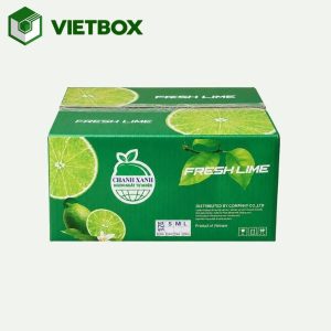 Thùng carton đựng chanh có độ cứng phù hợp, kích thước vừa phải và đáy chắc chắn