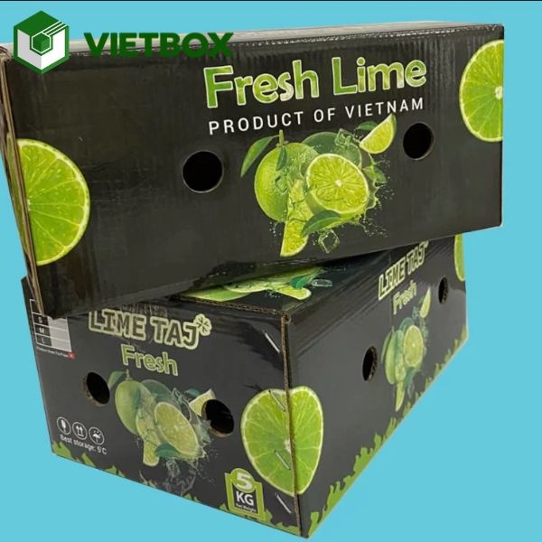 thung-carton-dung-chanh-chac-chan-han-che-dap-ung-khi-van-chuyen (2) Thùng carton đựng chanh giúp hạn chế va chạm, thuận tiện đóng gói và vận chuyển