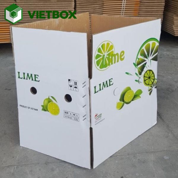 thung-carton-dung-chanh-chac-chan-han-che-dap-ung-khi-van-chuyen (3) Quy trình làm thùng carton đựng chanh từ thiết kế đến in và gia công