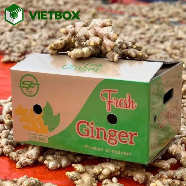 thung-carton-dung-gung-chac-chan-thong-thoang-va-de-van-chuyen (2) Lợi ích khi đặt in thùng carton đựng gừng tại xưởng uy tín