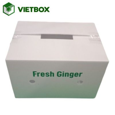 Tiêu chuẩn kỹ thuật khi sản xuất thùng carton đựng gừng chắc chắn và thông thoáng