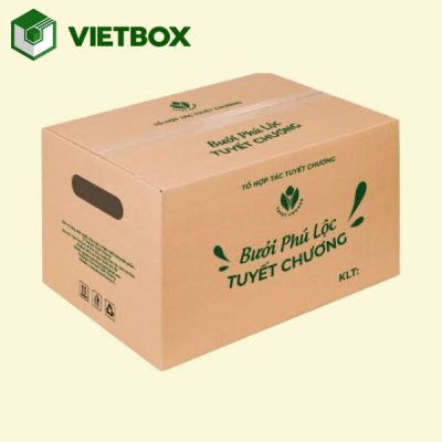 Thùng carton trái cây được ứng dụng trong đóng gói, vận chuyển và phân phối nông sản